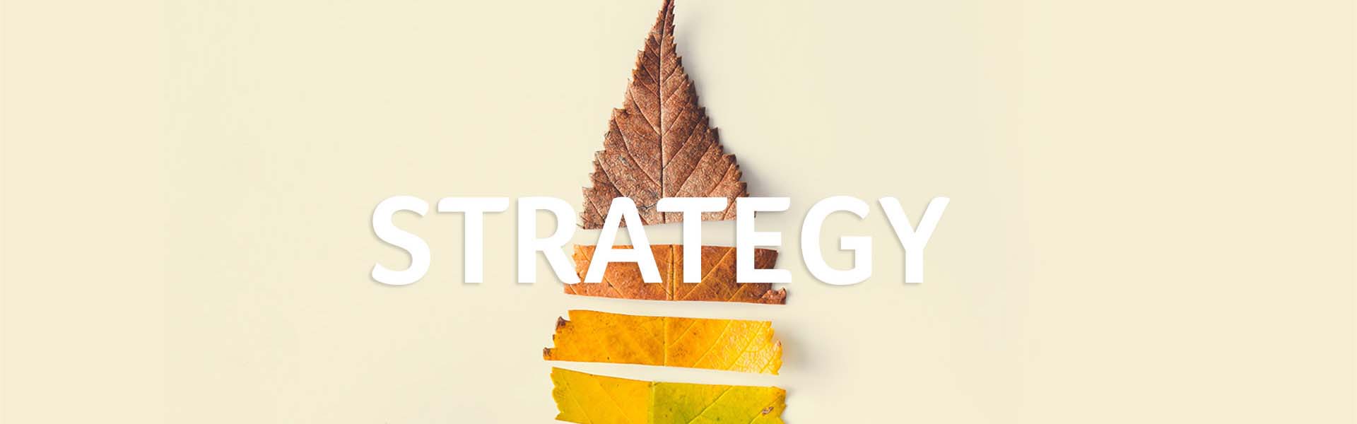 Creative, Creative Steps
